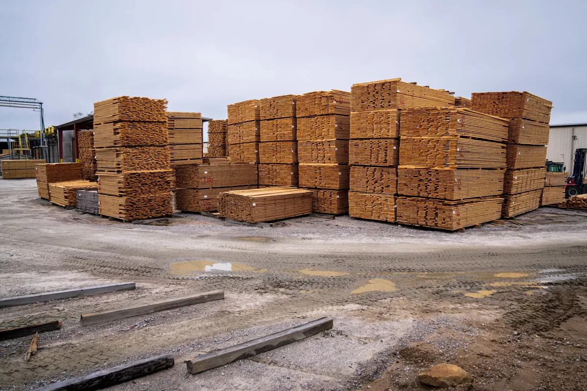 Stacks of sawn timber in a builders’ yard